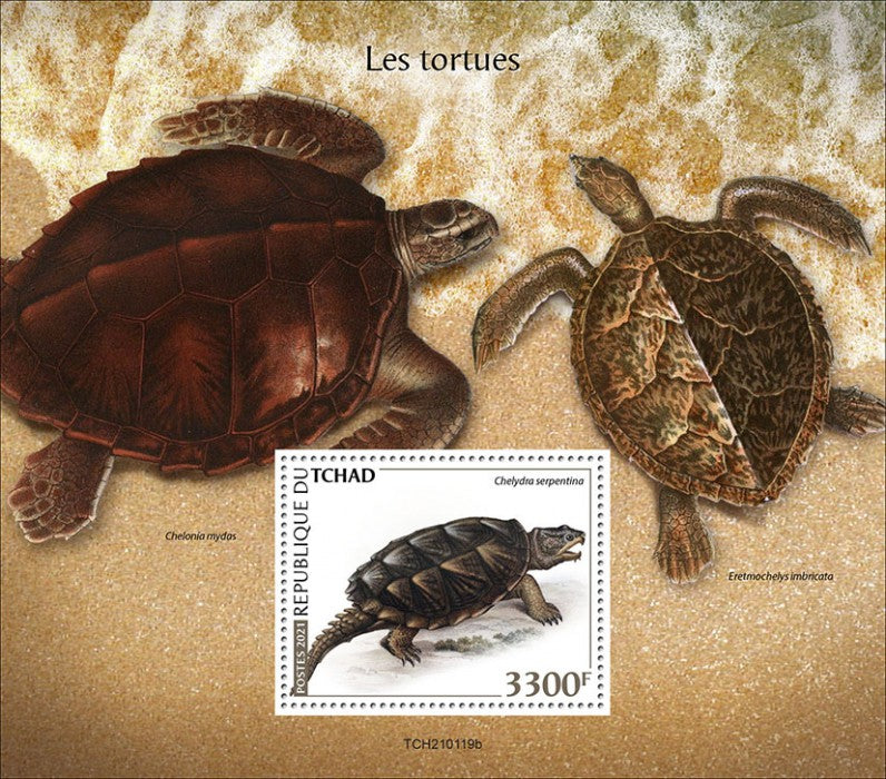Chad 2021 MNH Reptiles Stamps Turtles Snapping Turtle Reptiles 1v S/S