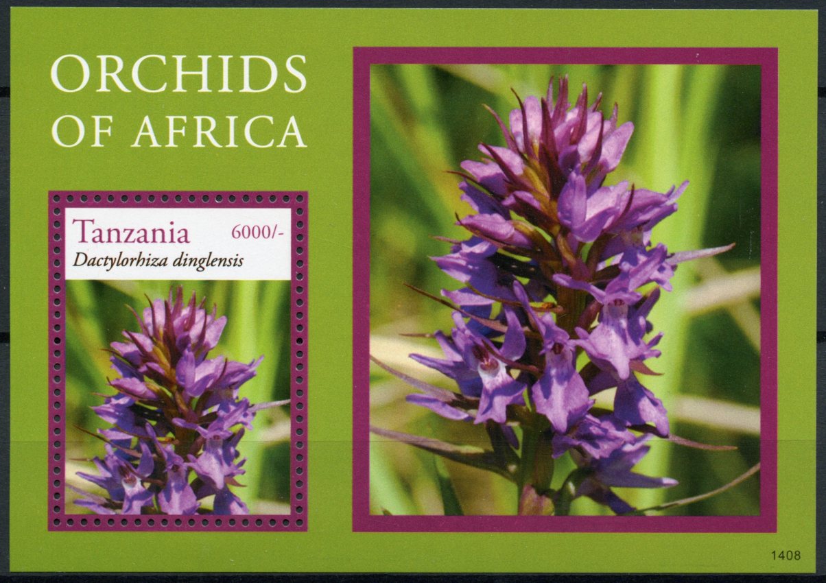 Tanzania 2014 MNH Orchids of Africa 1v S/S Flowers Flora Dactylorhiza dinglensis