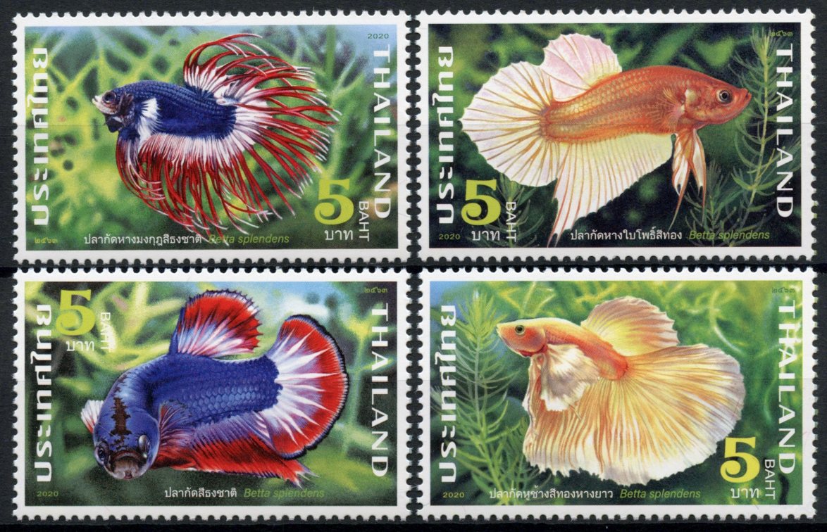 Thailand 2020 MNH Fishes Stamps Siamese Fighting Fish National Animal 4v Set