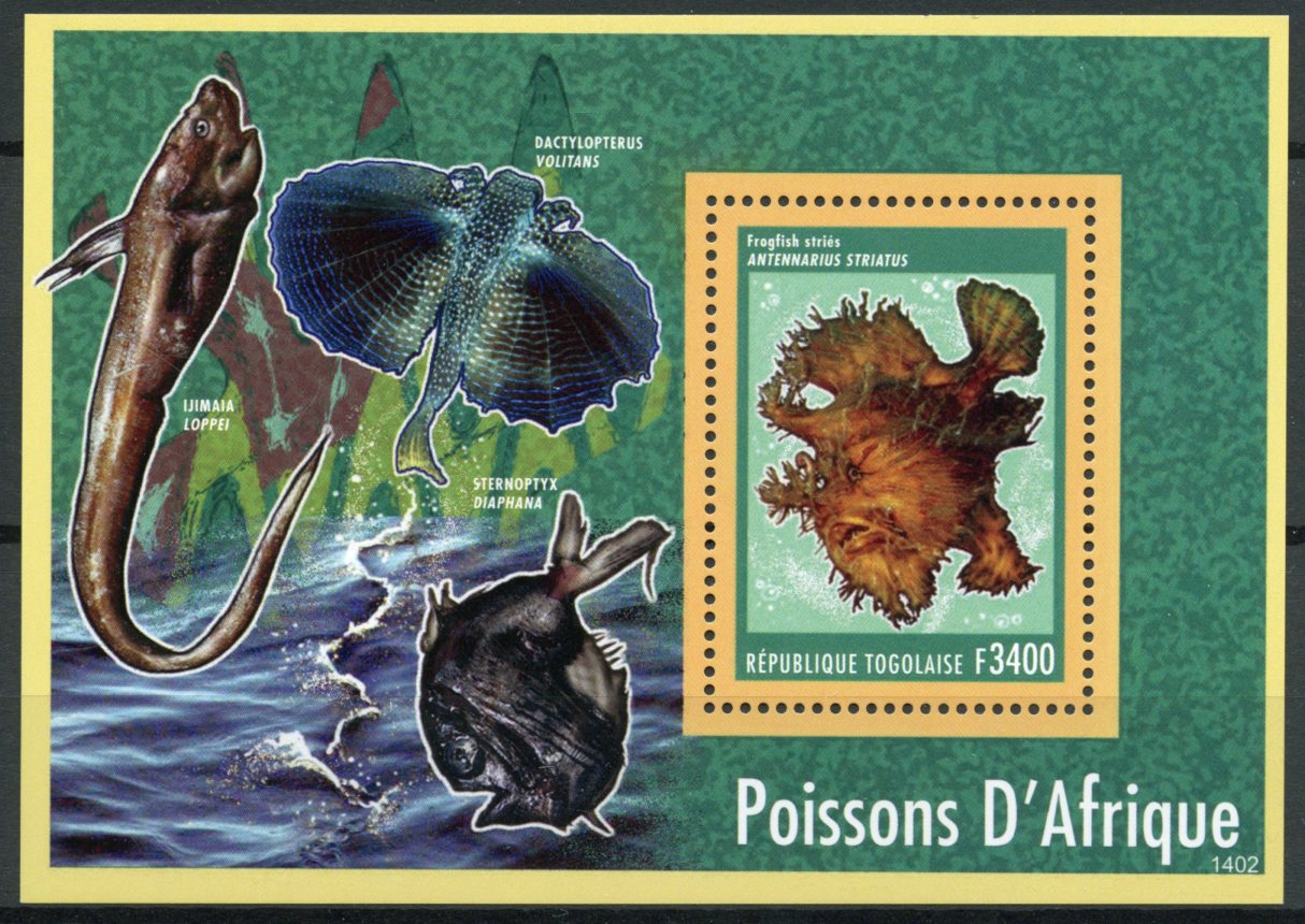 Togo 2014 MNH Fish of Africa 1v S/S Marine Frogfish Poissons d'Afrique Togolaise