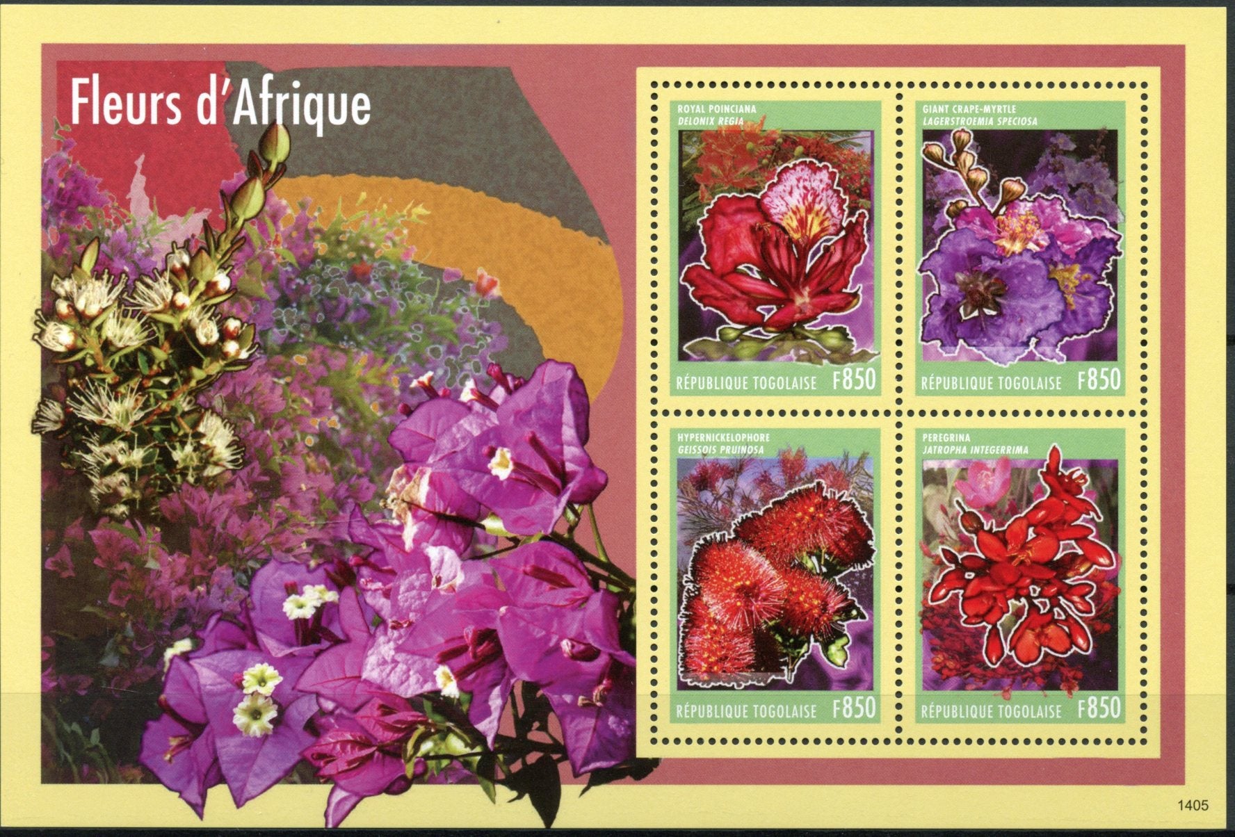 Togo 2014 MNH Flowers of Africa 4v MS Poinciana Flora Fleurs d'Afrique Togolaise