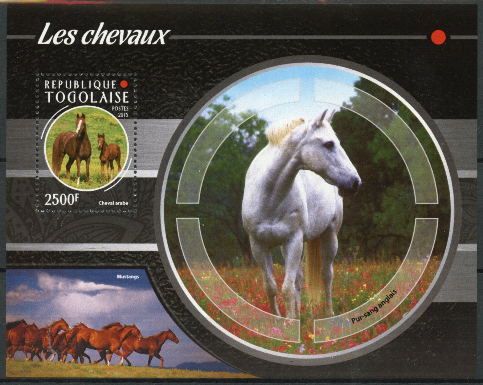 Togo 2015 MNH Farm Animals Stamps Horses Arabian Horse 1v S/S