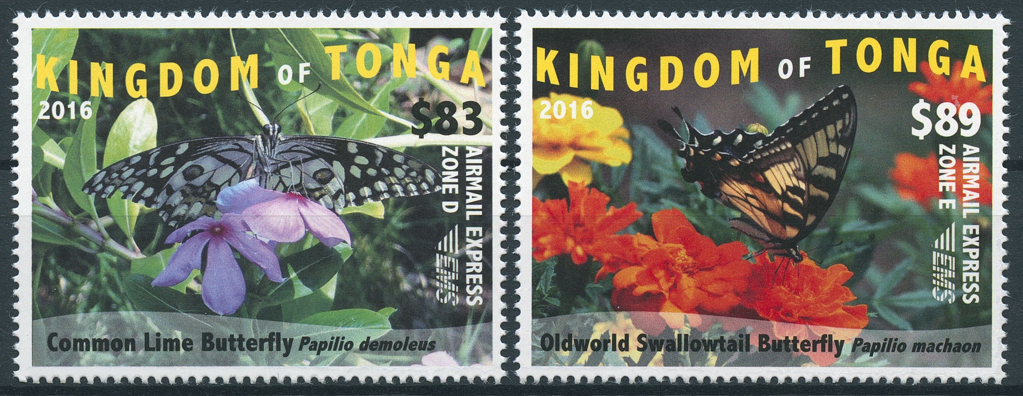 Tonga 2016 MNH Butterflies 2v Set Insects Lime Swallowtail Butterfly EMS Stamps