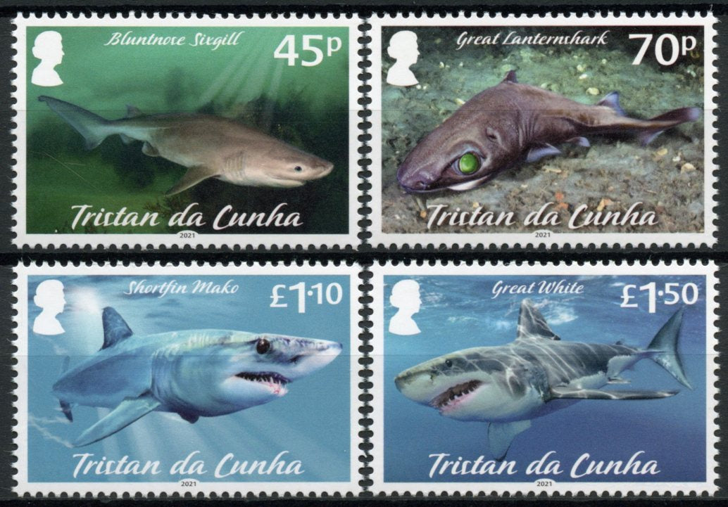 Tristan da Cunha 2021 MNH Marine Animals Stamps Sharks Mako Shark Pt II 4v Set