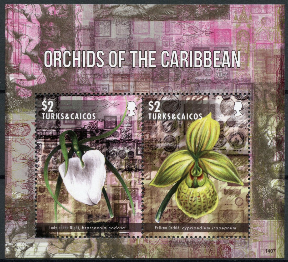 Turks & Caicos 2014 MNH Orchids of Caribbean 2v SS II Flowers Lady Night Pelican