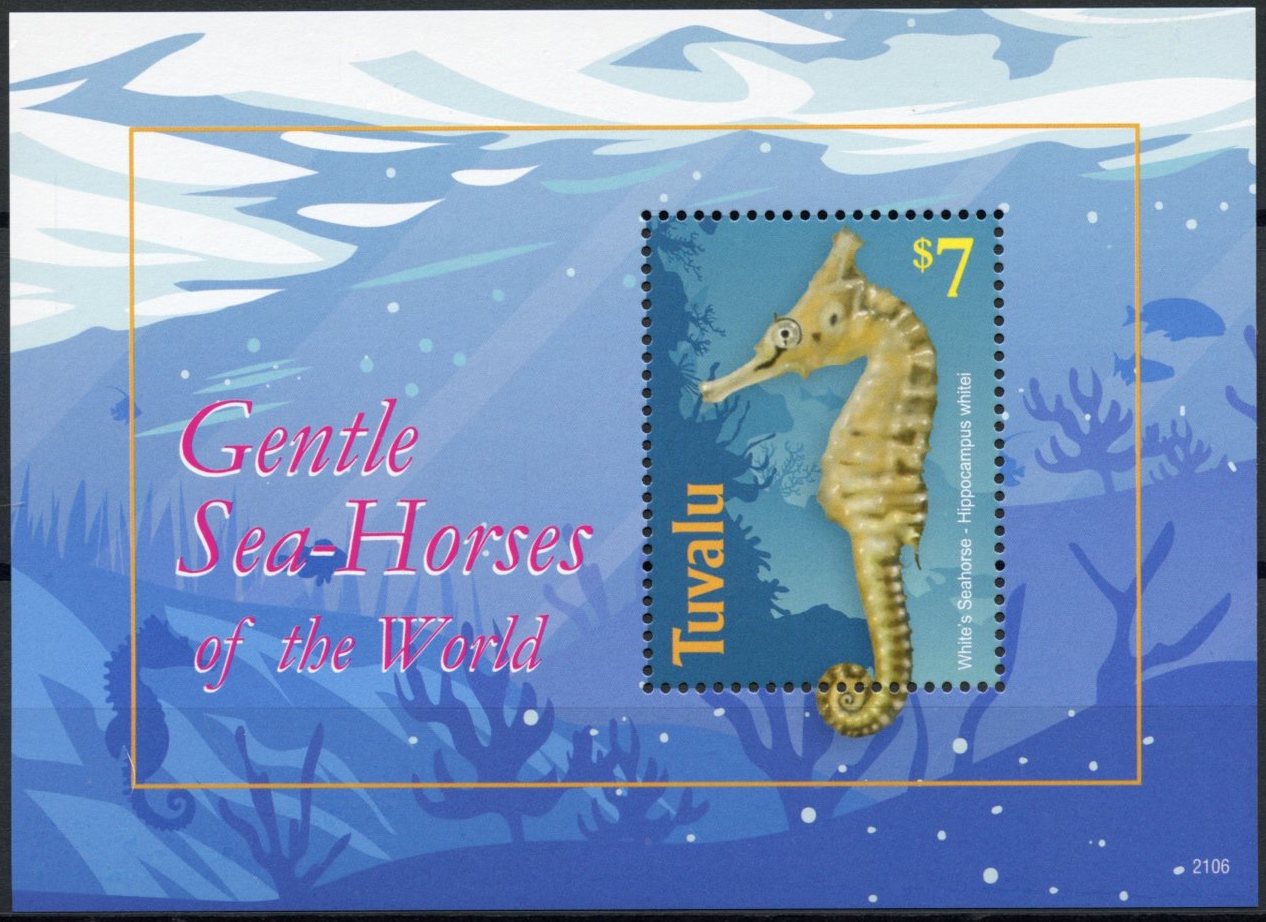 Tuvalu 2021 MNH Marine Animals Stamps Gentle Seahorses of World Seahorse 1v S/S
