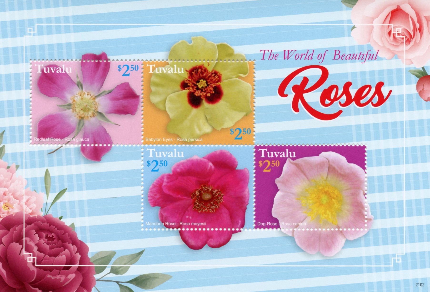 Tuvalu 2021 MNH Flowers Stamps World of Beautiful Roses Rose Nature 4v M/S