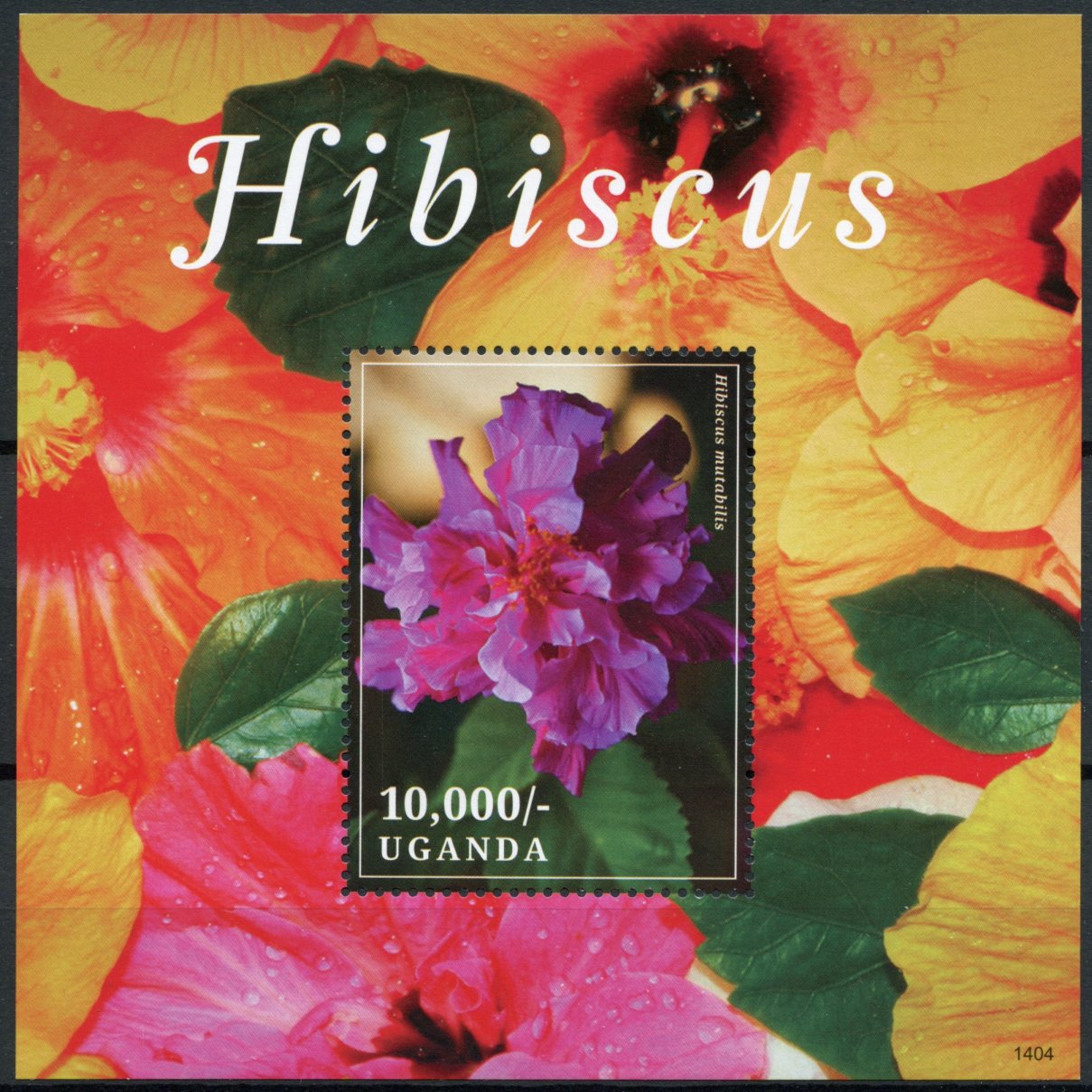 Uganda 2014 MNH Hibiscus 1v S/S Flowers Flora Hibiscus mutabilis