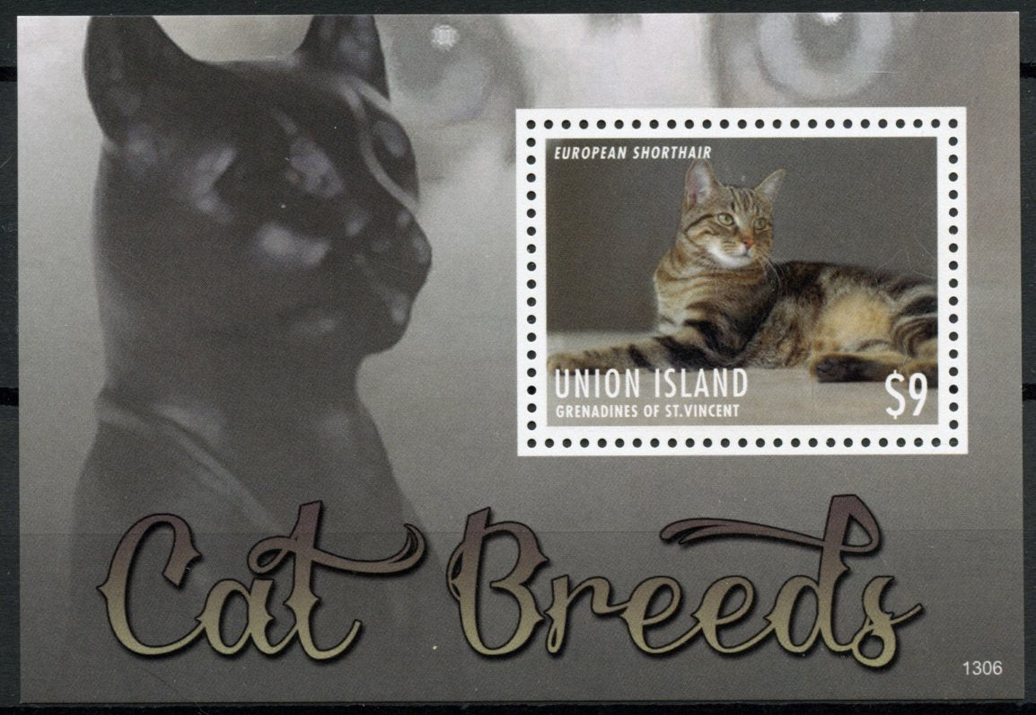 Union Island Gren St Vincent 2013 MNH Cats Stamps Cat Breeds European Shorthair I 1v S/S