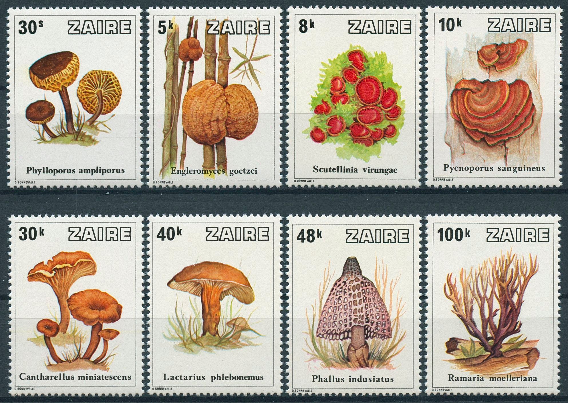 Zaire Mushrooms Stamps 1979 MNH Cantharelle Fungi Nature 8v Set